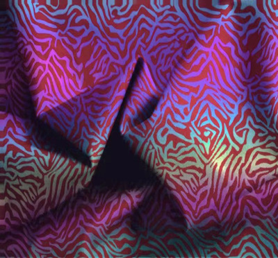 斑马纹七彩反光布